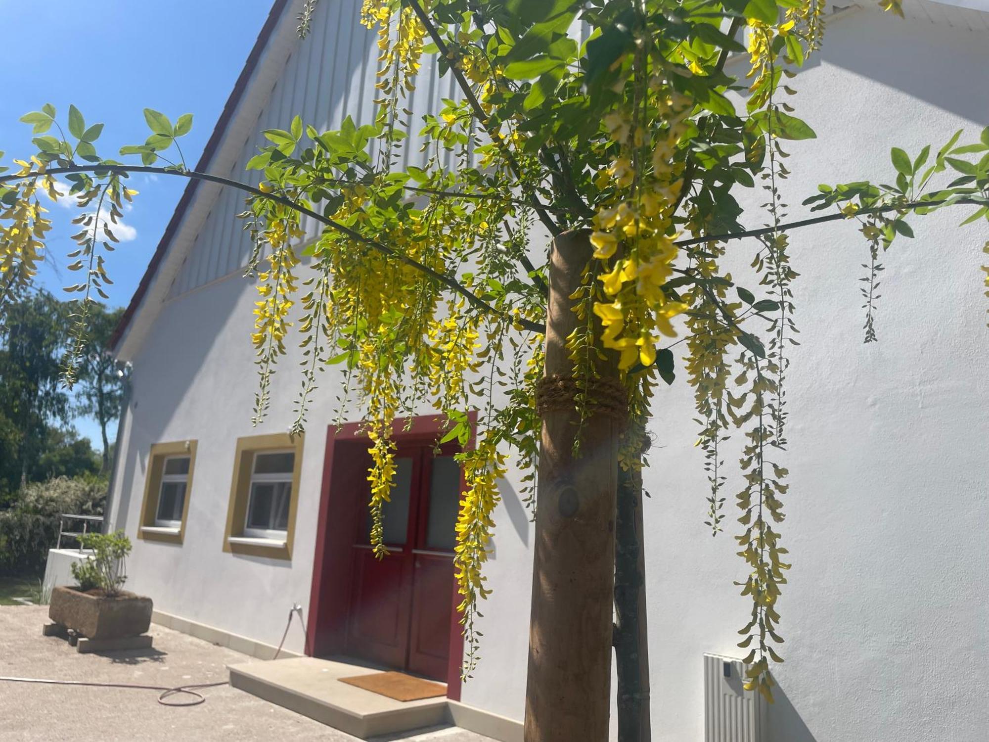 Appartement Mit 2 Schlafzimmern Und Terrasse Halle  외부 사진